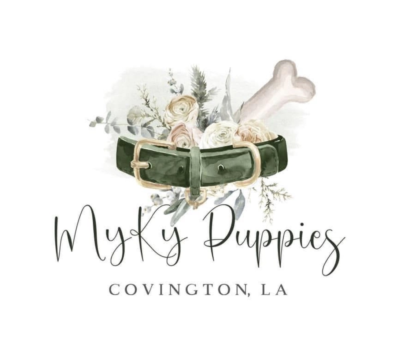 MyKy Puppies, Covington Louisiana